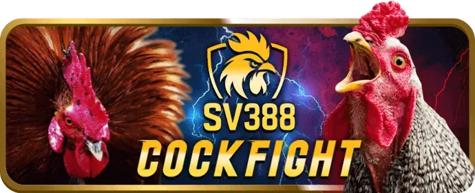 Công nghệ mã hóa SSL bảo vệ dữ liệu người chơi tại lucky 8